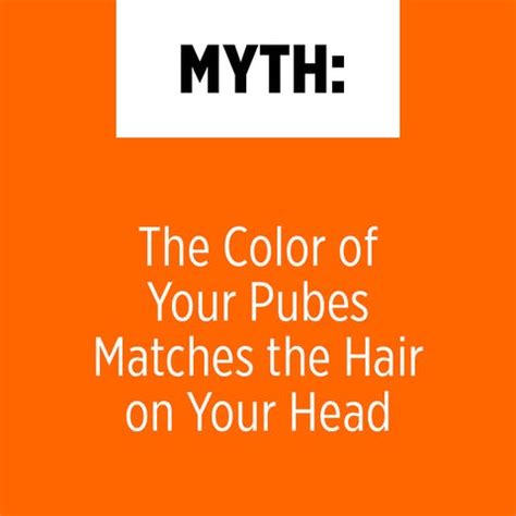 hairy vagina|6 Pubic Hair Myths It's Time You Stopped Believing.